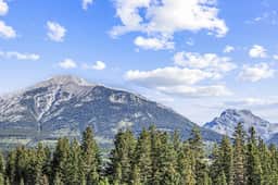 Tamarack 205B | Serenity Villa